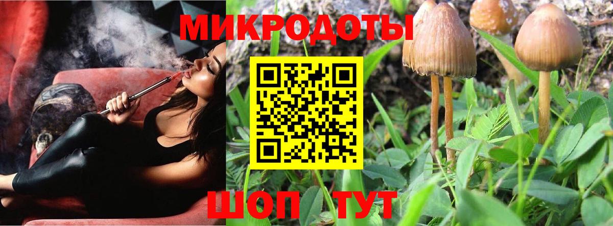 Псилоцибиновые грибы GOLDEN TEACHER  цены   Вход с VPN  Кудрово  Галлюциногенные грибы мицелий 